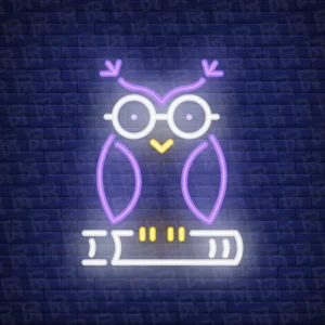 تابلو نئون آماده طرح کتاب و جغد - کد Art008