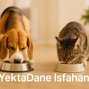 یکتا دانه اصفهان